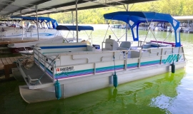 1995 JC dolphin - 1